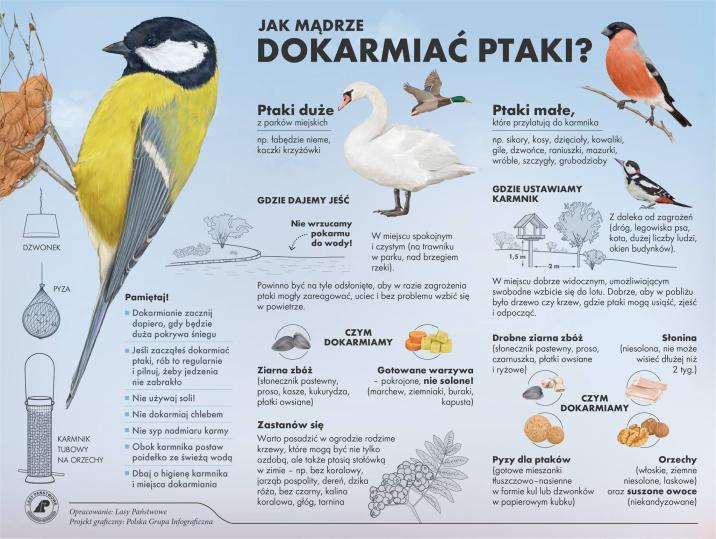 Jak&#x20;mądrze&#x20;dokarmiać&#x20;ptaki
