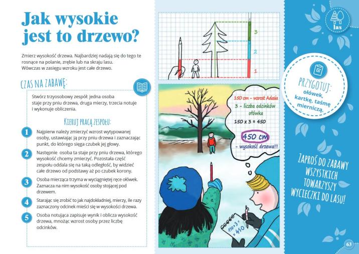 Propozycja&#x20;zmierzenia&#x20;rosnącego&#x20;drzewa&#x20;&#x28;opracowanie&#x20;Centrum&#x20;Informacyjne&#x20;Lasów&#x20;Państwowych&#x29;