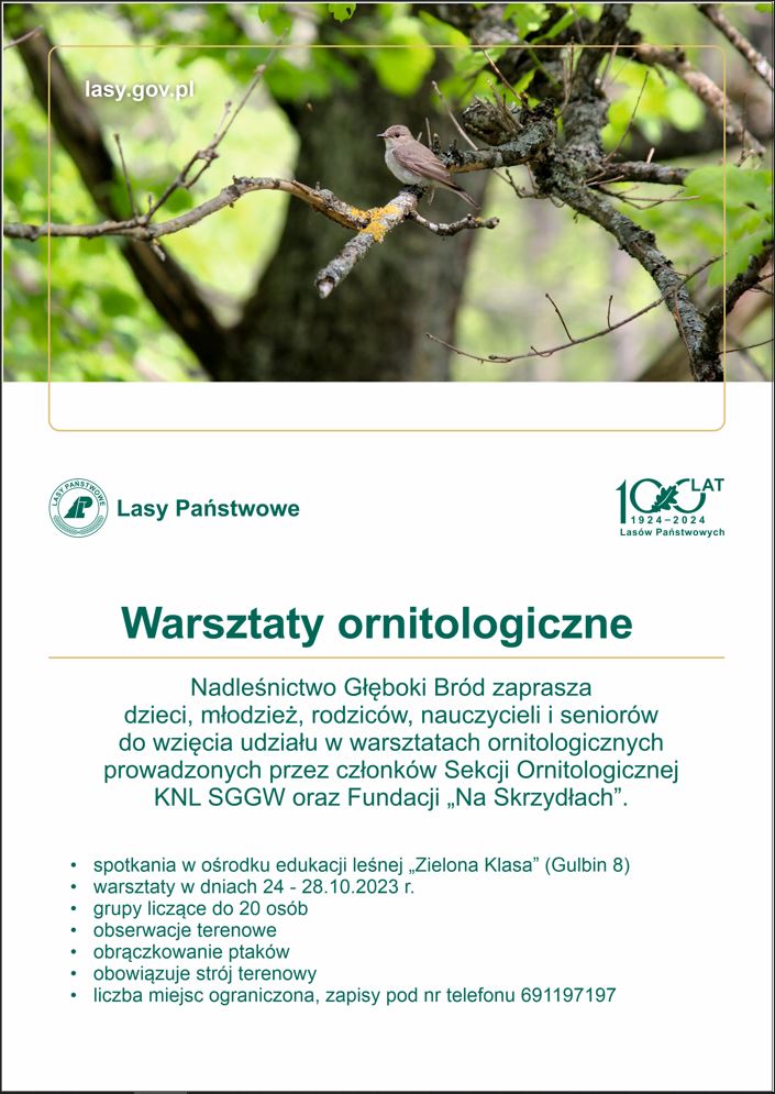 Warsztaty&#x20;ornitologiczne&#x20;-&#x20;plakat&#x20;zaproszenie