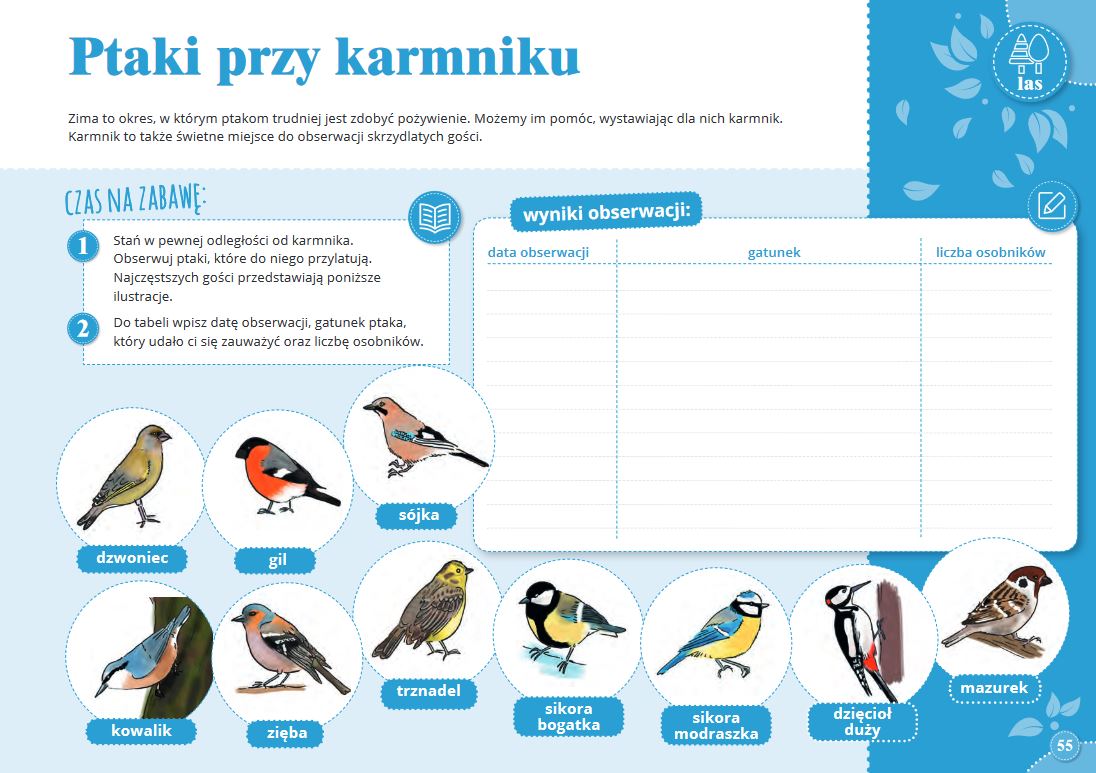Ptaki przy karmniku (publikacja CILP)