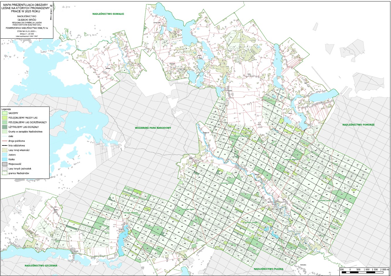 Mapa lokalizacji prac leśnych w 2025 roku