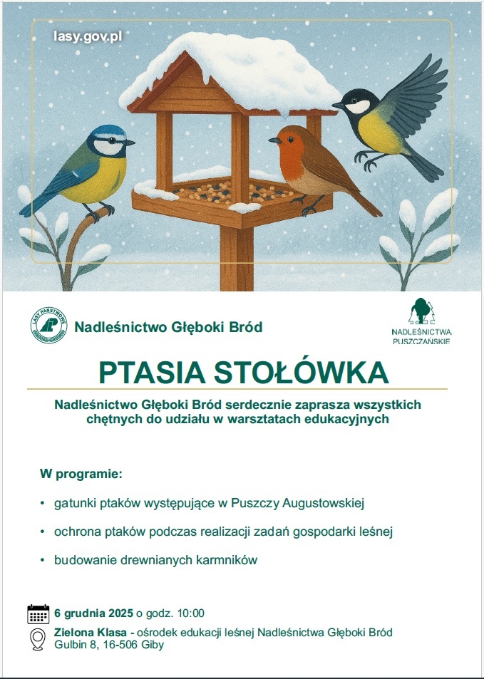 Ptasia Stołówka