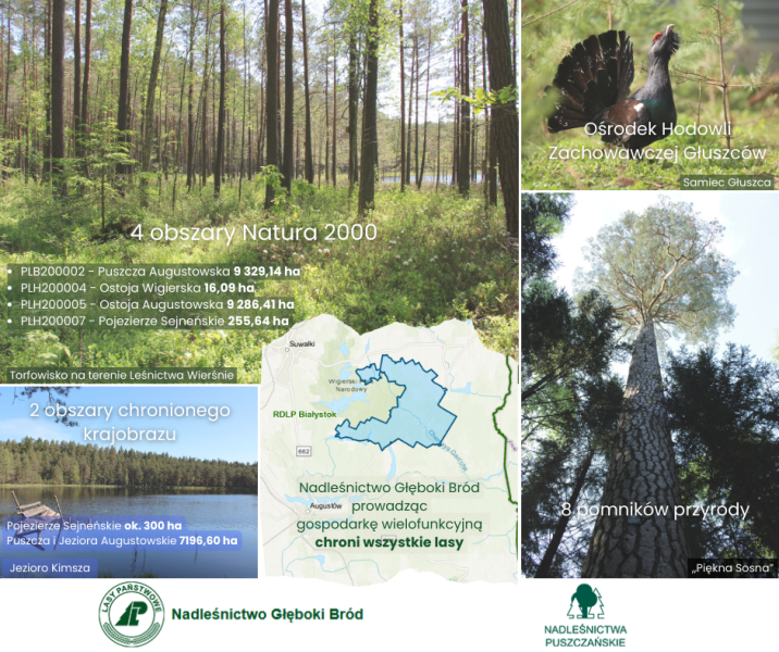 Infografika - formy ochrony przyrody