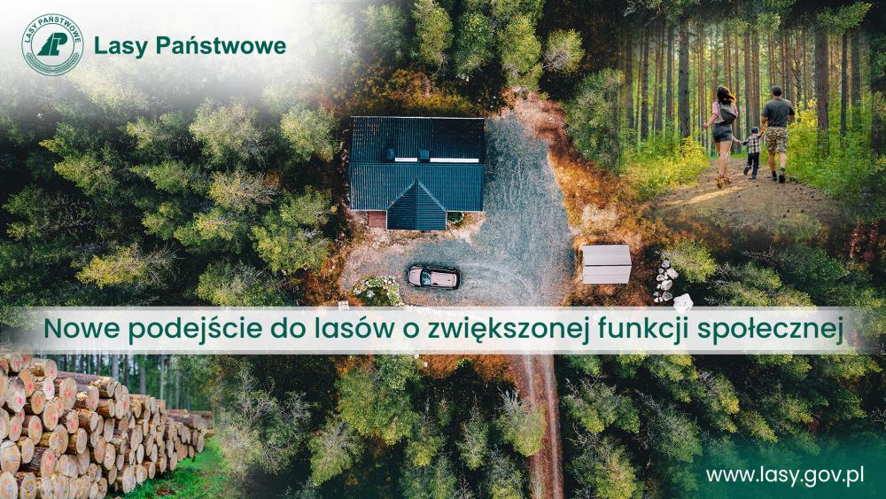 Lasy&#x20;społeczne&#x20;&#x28;www&#x2e;lasy&#x2e;gov&#x2e;pl&#x29;