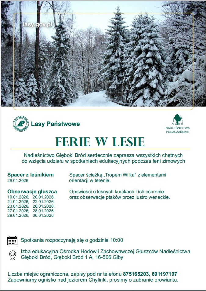Ferie w lesie - plakat zaproszenie