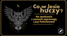 Usłysz, co w lesie huczy
